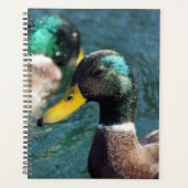 Mallard Duck Daisy Weekly/Monthly Planner (Voorkant)