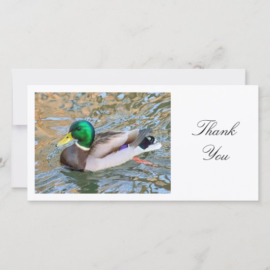 Mallard Duck - Dank je Bedankkaart (Voorkant)