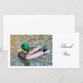 Mallard Duck - Dank je Bedankkaart (Voorkant / Achterkant)