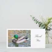 Mallard Duck - Dank je Bedankkaart (Staand voorkant)