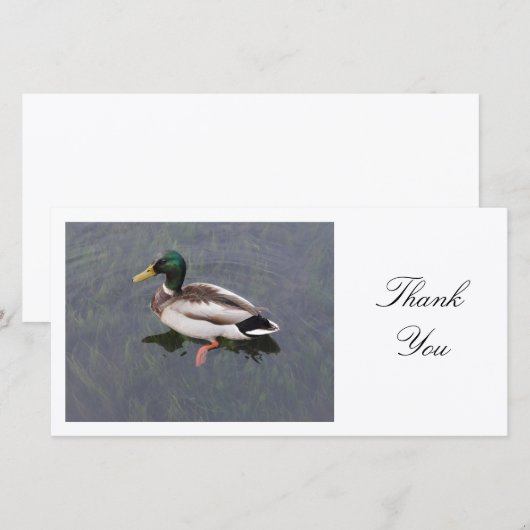 Mallard Duck - Dank je Bedankkaart (Voorkant / Achterkant)
