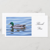 Mallard Duck - Dank je Bedankkaart (Voorkant / Achterkant)