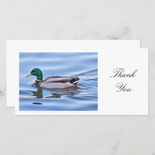 Mallard Duck - Dank je Bedankkaart (Voorkant / Achterkant)