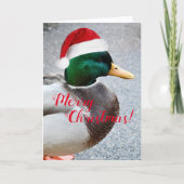 Mallard Duck Dearing Red Santa Hat Holiday Kaart (Voorkant)