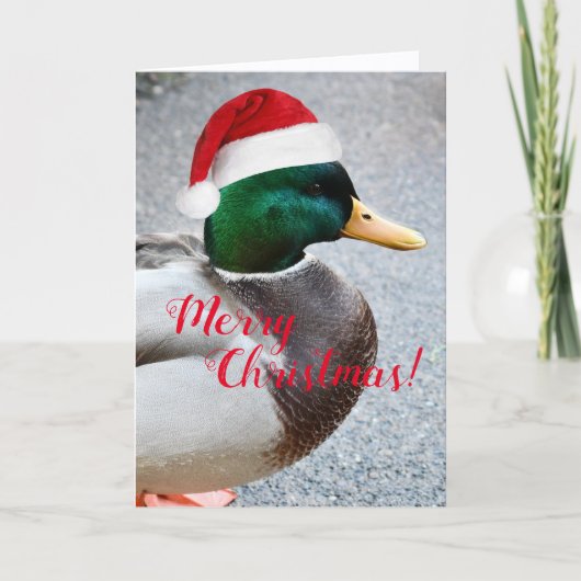 Mallard Duck Dearing Red Santa Hat Holiday Kaart (Voorkant)