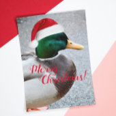 Mallard Duck Dearing Red Santa Hat Holiday Kaart