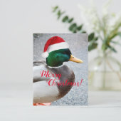 Mallard Duck Dearing Red Santa Hat Vakantie Briefkaart (Staand voorkant)