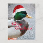 Mallard Duck Dearing Red Santa Hat Vakantie Briefkaart (Voorkant)