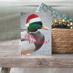 Mallard Duck Dearing Red Santa Hat Vakantie Briefkaart