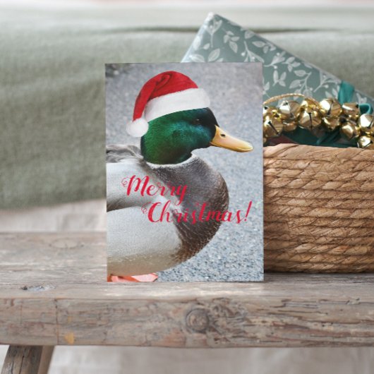 Mallard Duck Dearing Red Santa Hat Vakantie Briefkaart