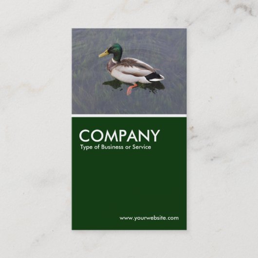 Mallard Duck - Donkergroen Visitekaartje (Voorkant)