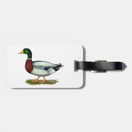 Mallard Duck Drake Bagagelabel (Achterkant horizontaal)