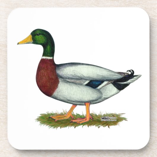 Mallard Duck Drake Bier Onderzetter (Voorkant)