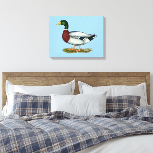 Mallard Duck Drake Canvas Afdruk (Insitu (Slaapkamer))