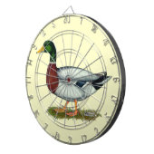 Mallard Duck Drake Dartbord (Voorkant Rechts)