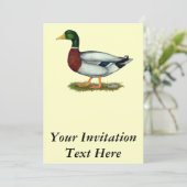 Mallard Duck Drake Kaart (Staand voorkant)