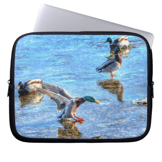 Mallard Duck Drake Landing op Ice Wildlife Foto Laptop Sleeve (Voorkant)