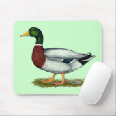 Mallard Duck Drake Muismat (Met muis)
