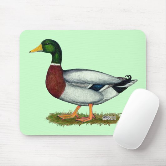 Mallard Duck Drake Muismat (Met muis)