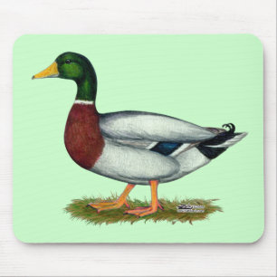 Mallard Duck Drake Muismat