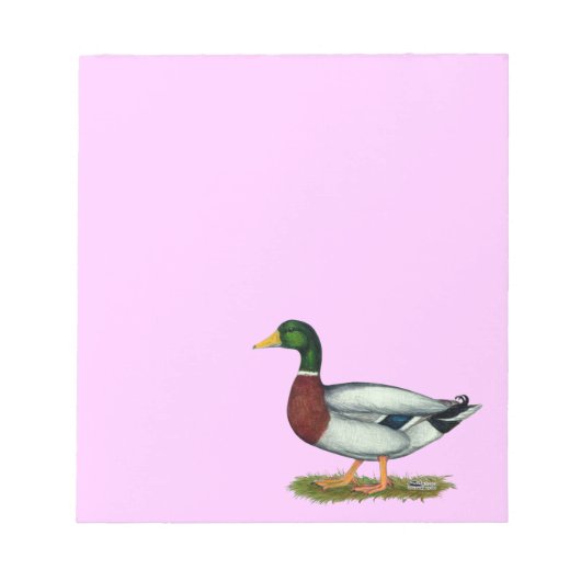 Mallard Duck Drake Notitieblok (Voorkant)
