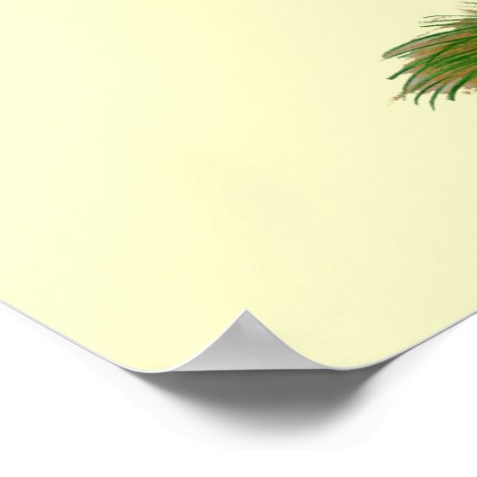 Mallard Duck Drake Poster (Hoek)