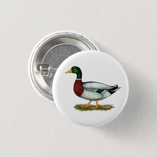 Mallard Duck Drake Ronde Button 3,2 Cm (Voorkant /achterkant)