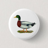 Mallard Duck Drake Ronde Button 3,2 Cm (Voorkant)