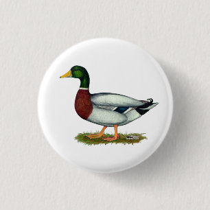 Mallard Duck Drake Ronde Button 3,2 Cm