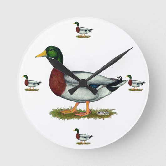 Mallard Duck Drake Ronde Klok (Voorkant)