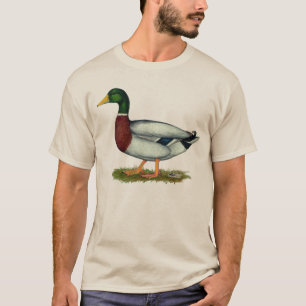 Mallard Duck Drake T-shirt