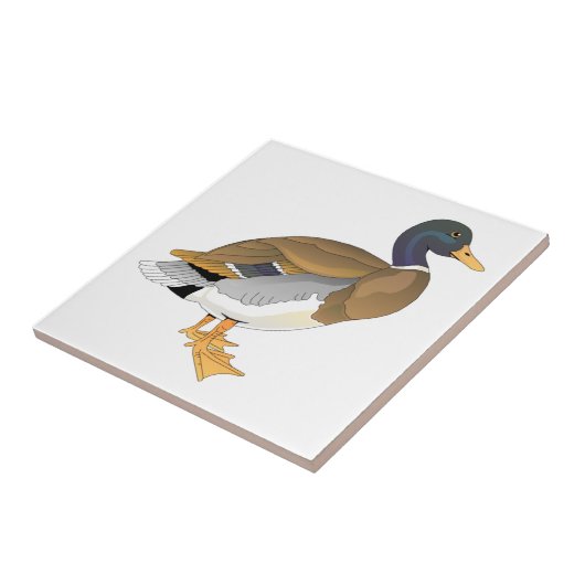 Mallard Duck (Drake) Tegeltje (Zijkant)