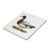 Mallard Duck Drake Tegeltje (Zijkant)