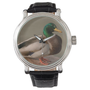 Mallard Duck Drake Watch Horloge