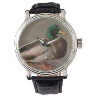 Mallard Duck Drake Watch Horloge