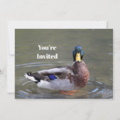 Mallard Duck Drake Water Foto Verjaardag Kaart (Voorkant)