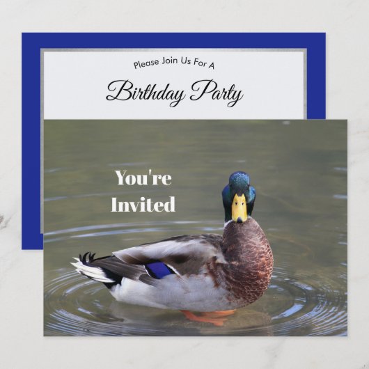 Mallard Duck Drake Water Foto Verjaardag Kaart (Voorkant / Achterkant)