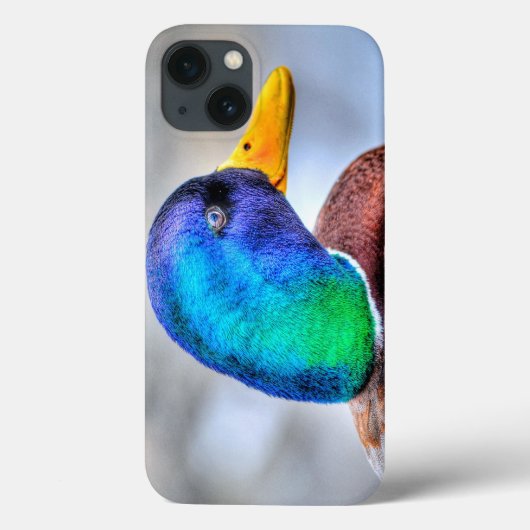 Mallard Duck Drake Wildlife Portret Case-Mate iPhone Case (Achterkant)