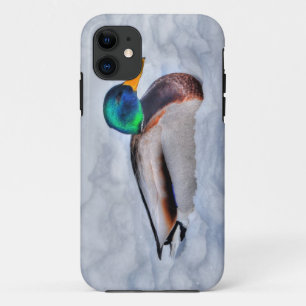 Mallard Duck Drake Wildlife Portret Case-Mate iPhone Case