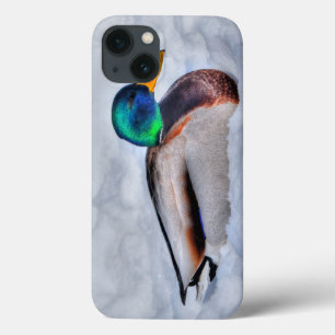 Mallard Duck Drake Wildlife Portret Case-Mate iPhone Case