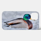 Mallard Duck Drake Wildlife Portret Case-Mate iPhone Case (Achterkant (horizontaal))