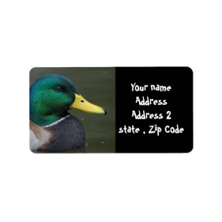 Mallard Duck Etiket