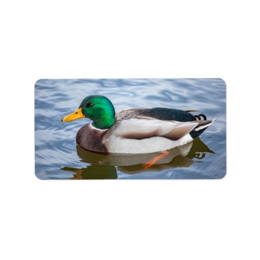 Mallard Duck Etiket (Voorkant)