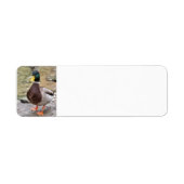 Mallard Duck Etiket (Voorkant)