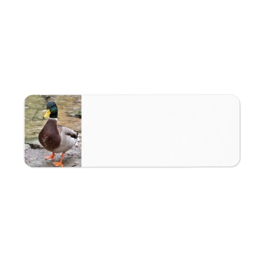 Mallard Duck Etiket (Voorkant)