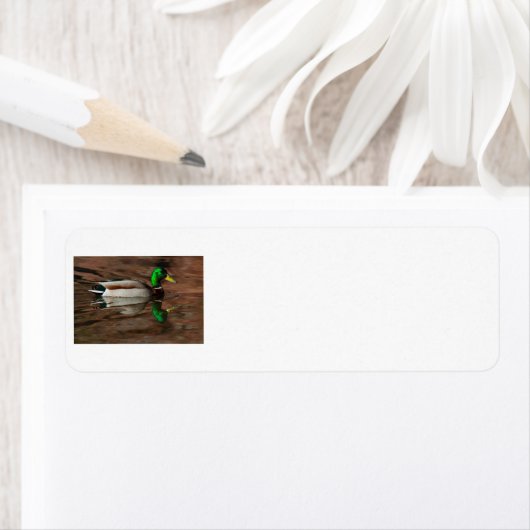 Mallard Duck Etiket (Insitu)