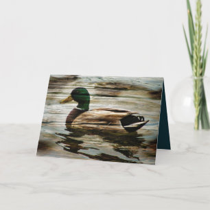 Mallard Duck Feestdagen Kaart
