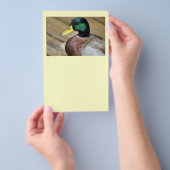 Mallard Duck Flyer (Hand)