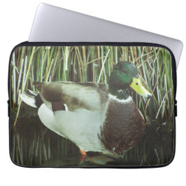 Mallard Duck Foto Distinctive Male Lake Bird Laptop Sleeve