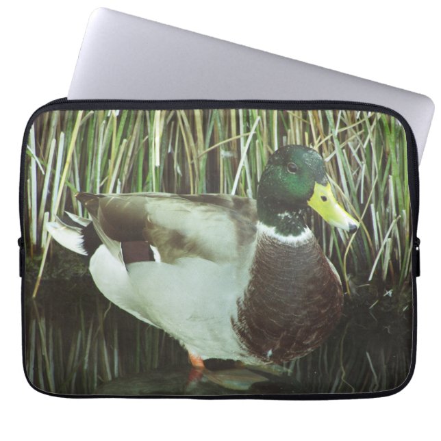 Mallard Duck Foto Distinctive Male Lake Bird Laptop Sleeve (Voorkant)